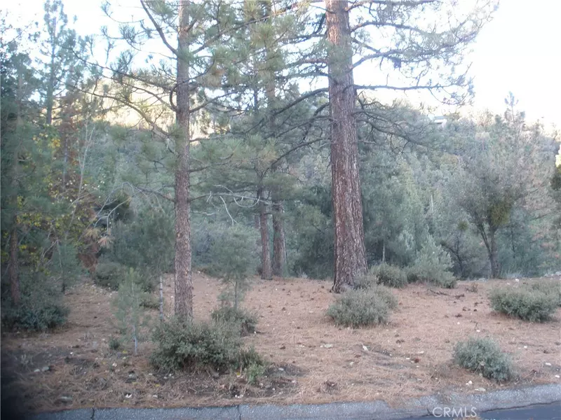 1737 Linden, Pine Mountain Club, CA 93222