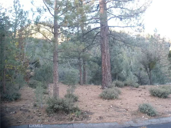 1737 Linden, Pine Mountain Club, CA 93222