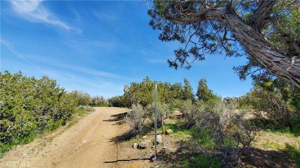 0 Nr Four Winds Road & 106th St E., Juniper Hills, CA 93543