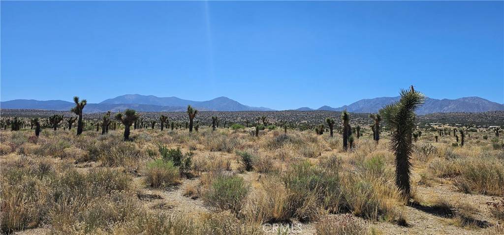 Llano, CA 93544,0 Ft Tejon/Vic Bob Gaps RD