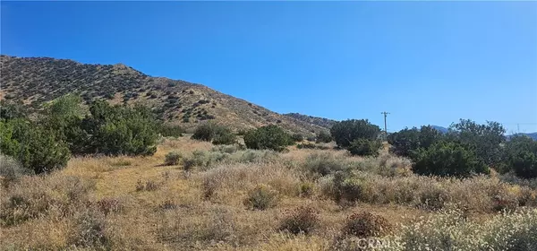 Acton, CA 93510,0 Soledad Pass RD