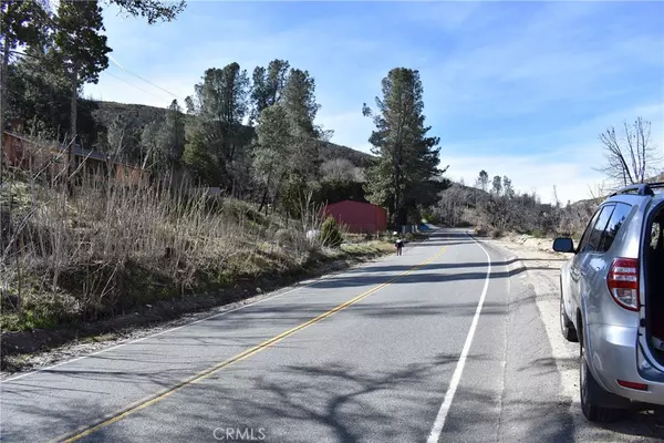 Lake Hughes, CA 93532,20811 Pine Canyon RD