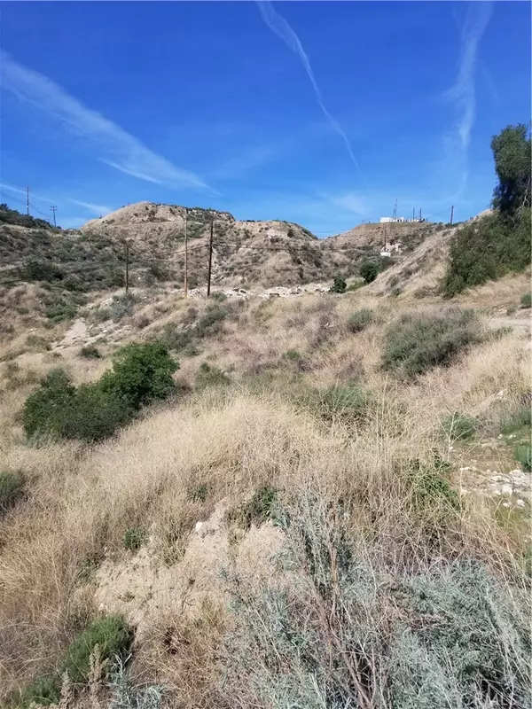 Newhall, CA 91321,0 Vacant Lot