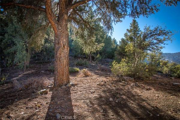 1824 Saint Anton DR, Pine Mountain Club, CA 93222