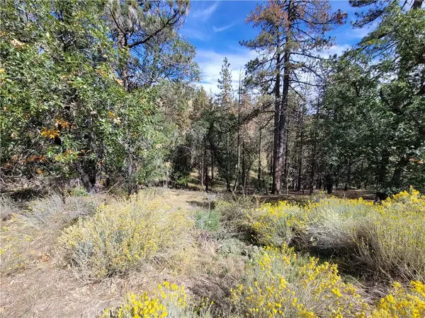 Tehachapi, CA 93561,25840 Wilderness WAY