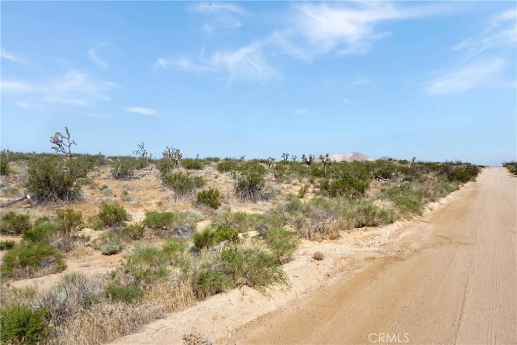 Rosamond, CA 93560,0 Frontage