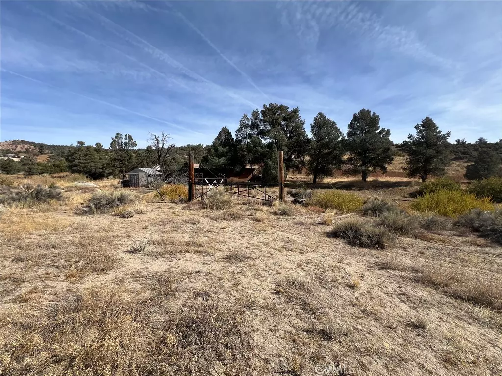 Frazier Park, CA 93225,32470 Juniper TRL