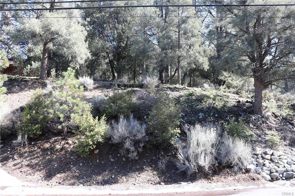 2216 Woodland DR, Pine Mountain Club, CA 93225
