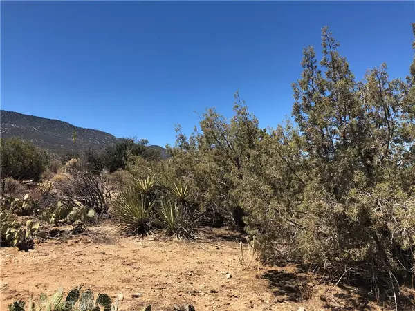 Mountain Center, CA,0 Lot #155 Buckthorn