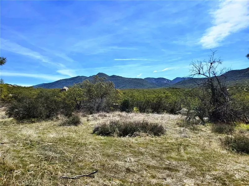 1 Tule Peak RD, Anza, CA 92536