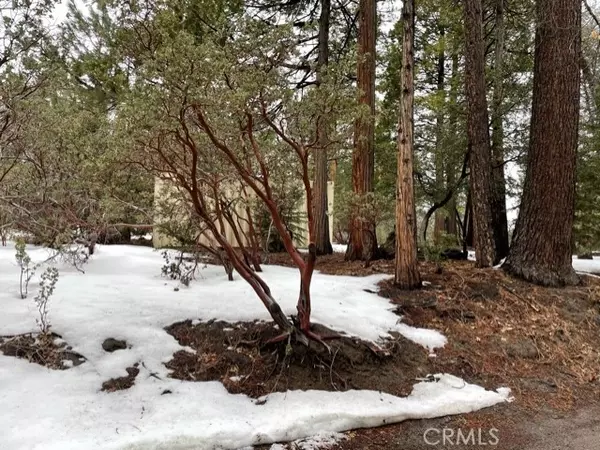 Idyllwild, CA 92544,0 McGovern Rd