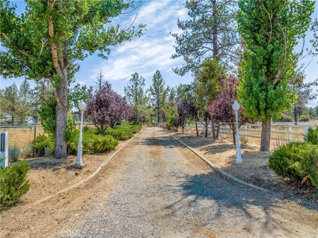 36581 Tool Box Springs RD, Mountain Center, CA 92561