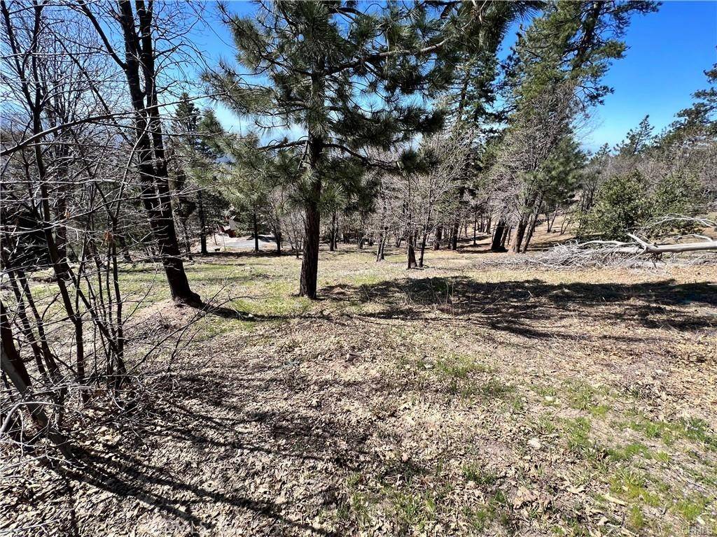 Running Springs, CA 92382,41 Fredalba RD