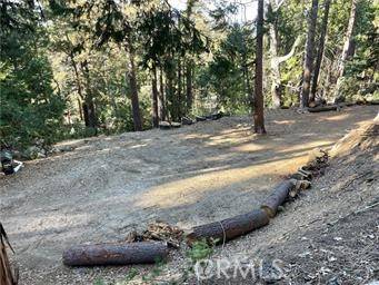 0 Fernland DR, Idyllwild, CA 92549