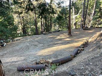 0 Fernland DR, Idyllwild, CA 92549