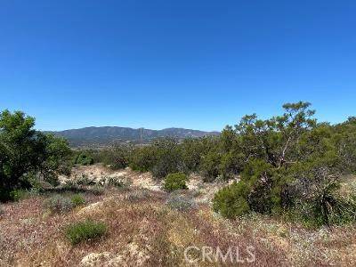 Anza, CA 92539,61700 Indian Paint Brush RD