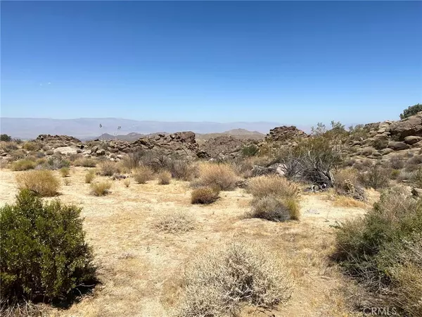 Mountain Center, CA 92260,15 Desert Calico WAY