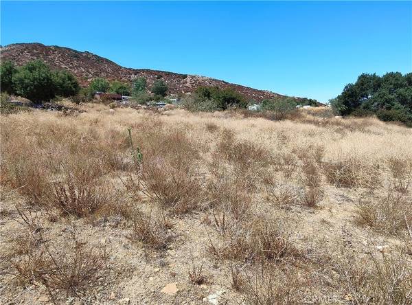 Lake Elsinore, CA 92530,0 Penny Trail