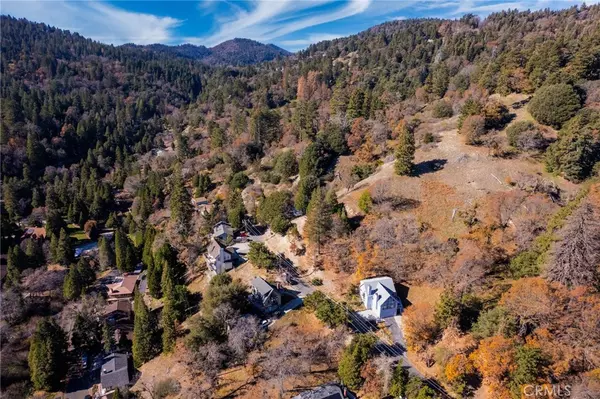 Crestline, CA 92325,0 Briarwood LN