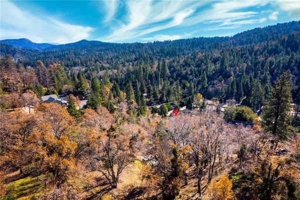 Crestline, CA 92325,0 Briarwood LN