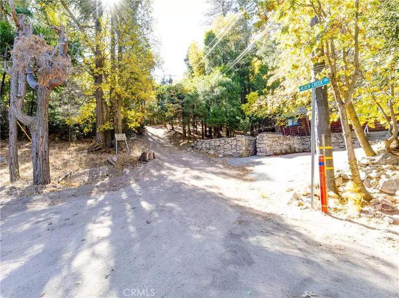 0 Alder Creek Road, Cedarpines Park, CA 92322