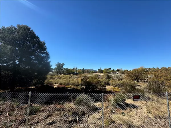 Anza, CA 92539,19 old forest