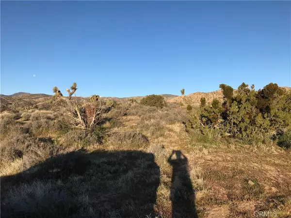 Pioneertown, CA 92268,0 Ox Yok PASS