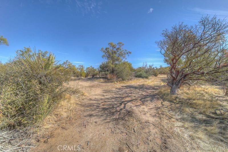 0 Tule Peak RD, Aguanga, CA 92536
