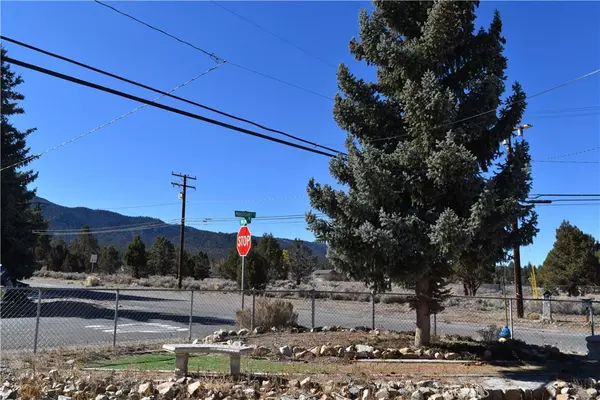 Big Bear City, CA 92314,2201 Mahogany LN