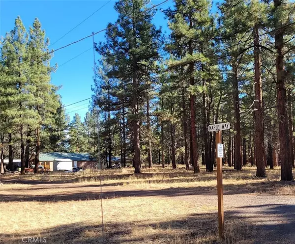 Susanville, CA 96130,0 Maple WAY