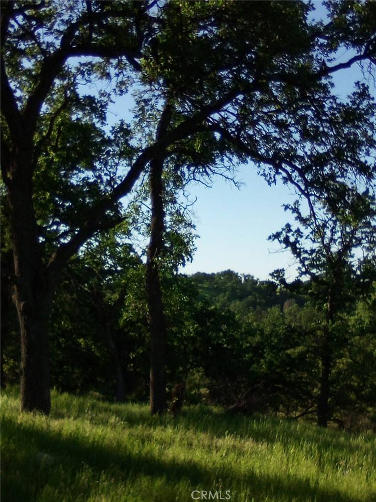 Corning, CA 96021,17065 Fawn LN