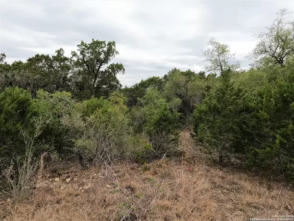 Mico, TX 78056,LOT 75 PR 1712