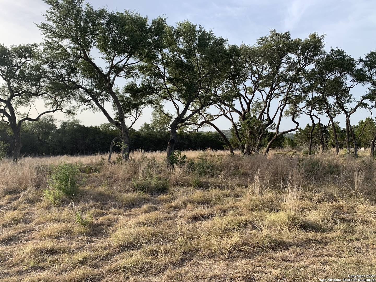 Canyon Lake, TX 78133-3035,2148 ANDALUSIA