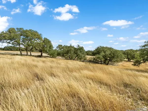 Kerrville, TX 78028,LOT 103 Cattlemans Crossing Drive