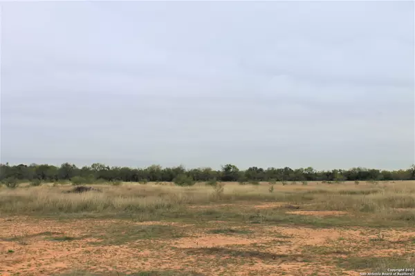 Devine, TX 78016,1097 Cr 652 Lot #7