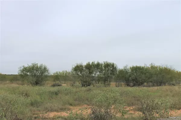 Devine, TX 78016,1097 Cr 652 Lot #7