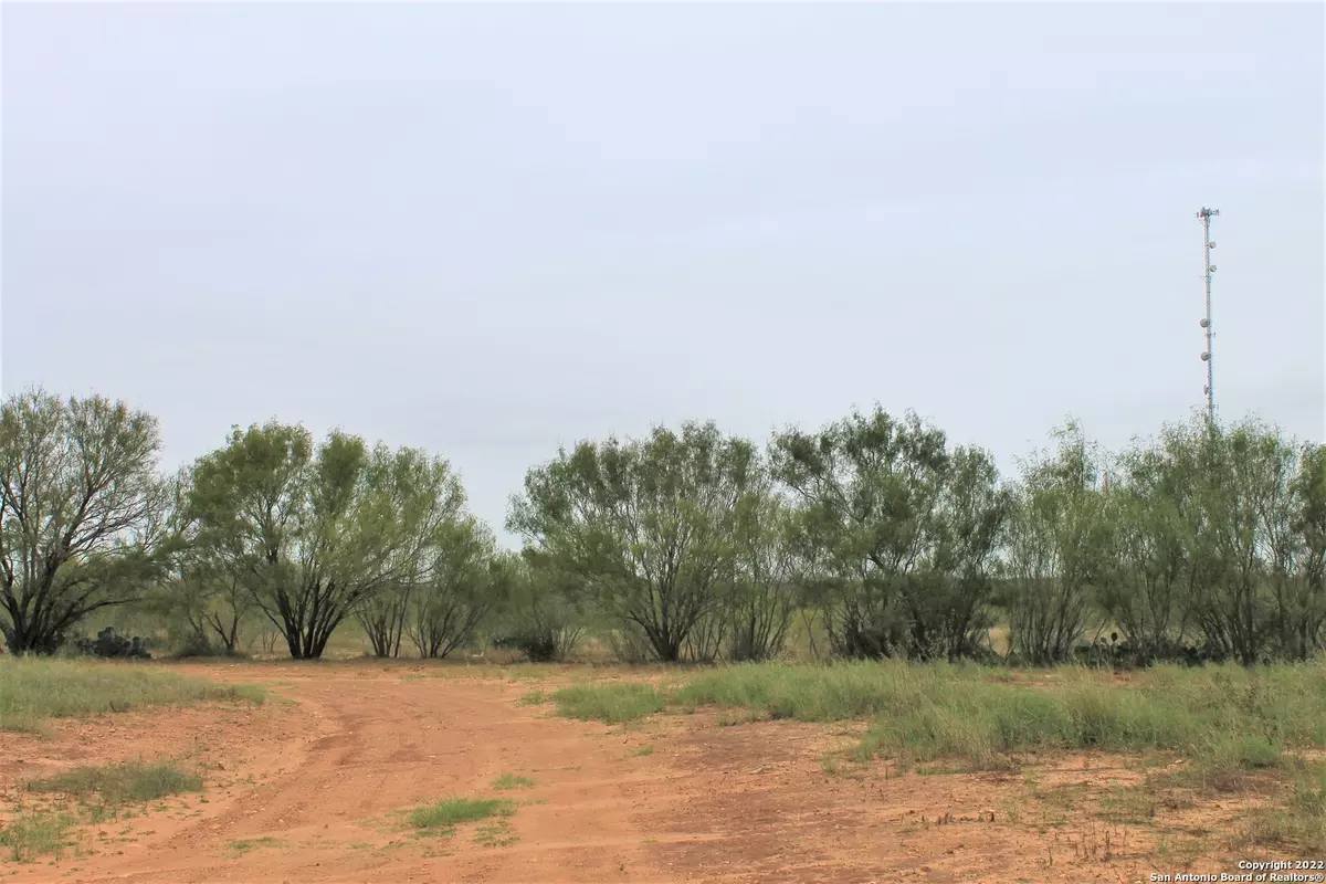 Devine, TX 78016,1097 Cr 652 Lot #7