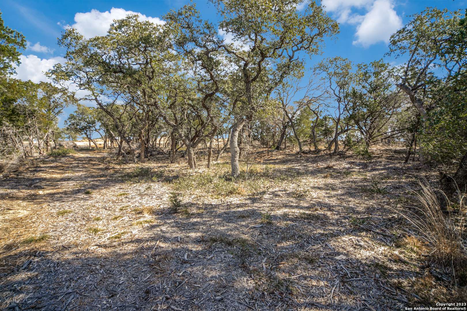 Bulverde, TX 78163,1084 Earle Oak Ave