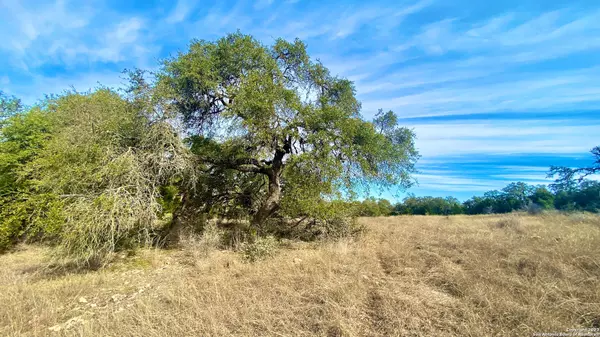 New Braunfels, TX 78132,1223 CATTLE DELL