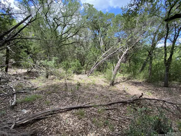 Mico, TX 78056,LOT 332 PR 1742