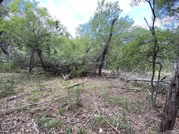 Mico, TX 78056,LOT 332 PR 1742