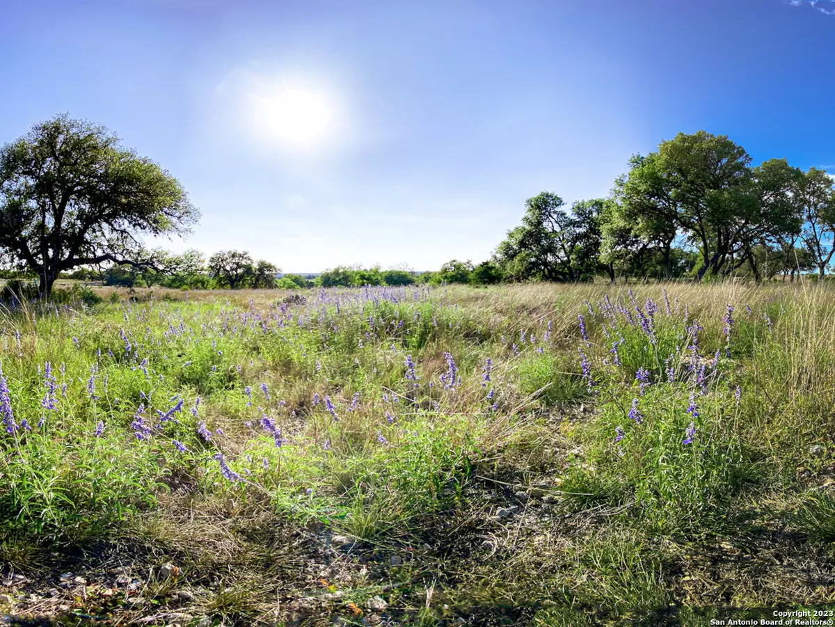 Kerrville, TX 78028,LOT 38 Loma Vista Ranch