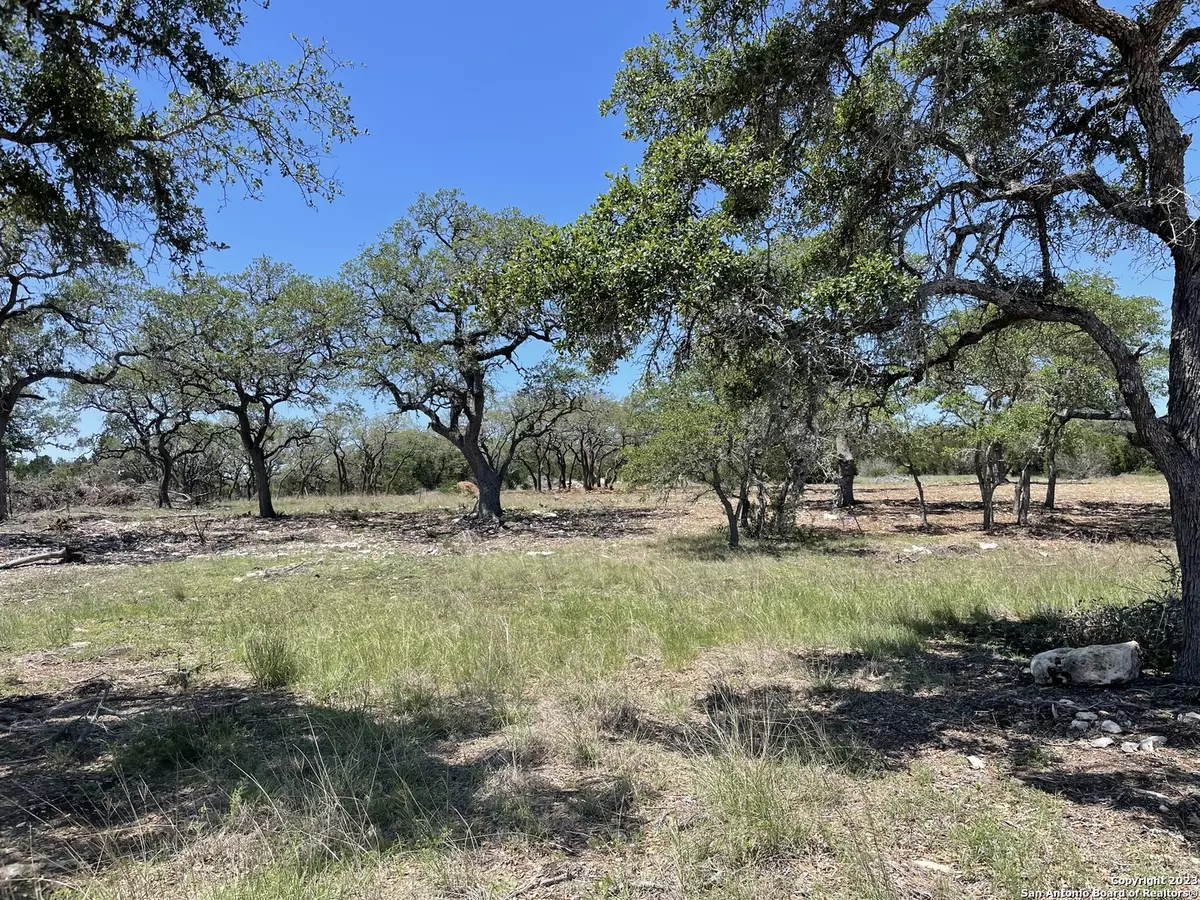 Spring Branch, TX 78070,286 Serenity Pass