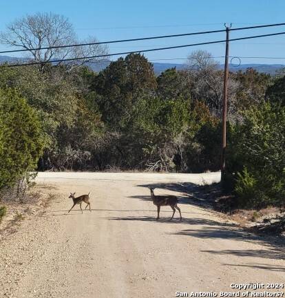 LOT 469 Topside Trl, Bandera, TX 78003