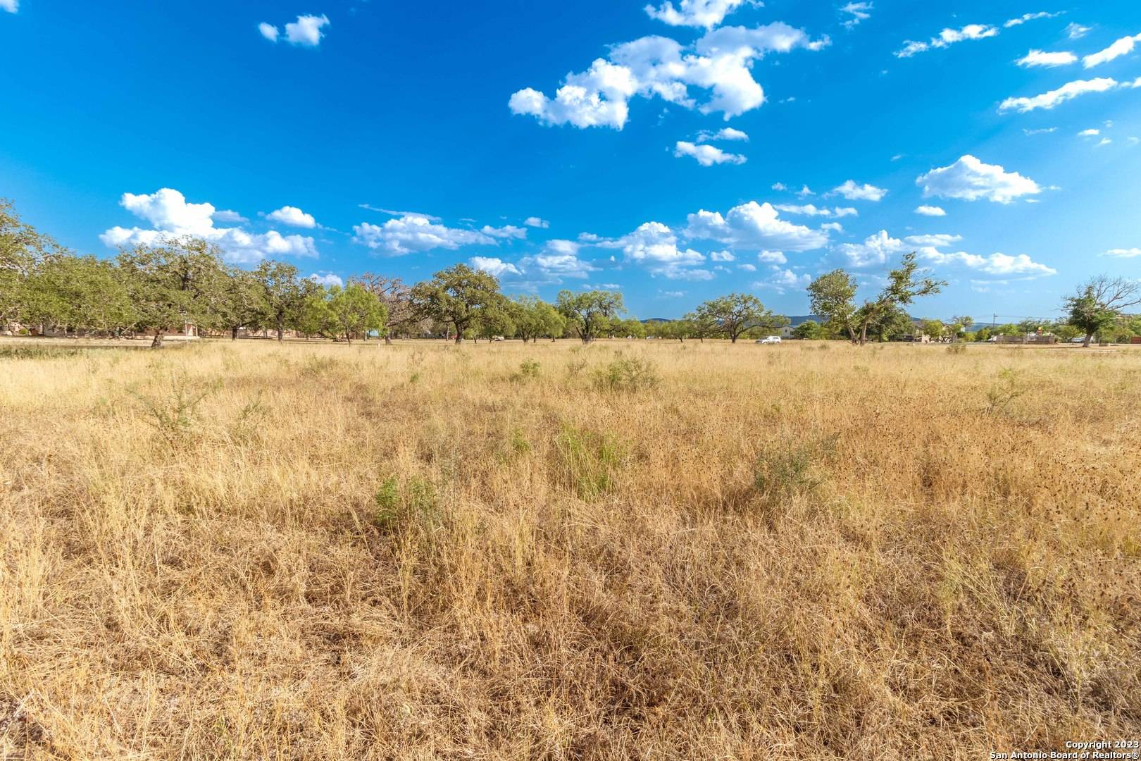 Medina, TX 78055,LOT 63 Orchard Park Blvd