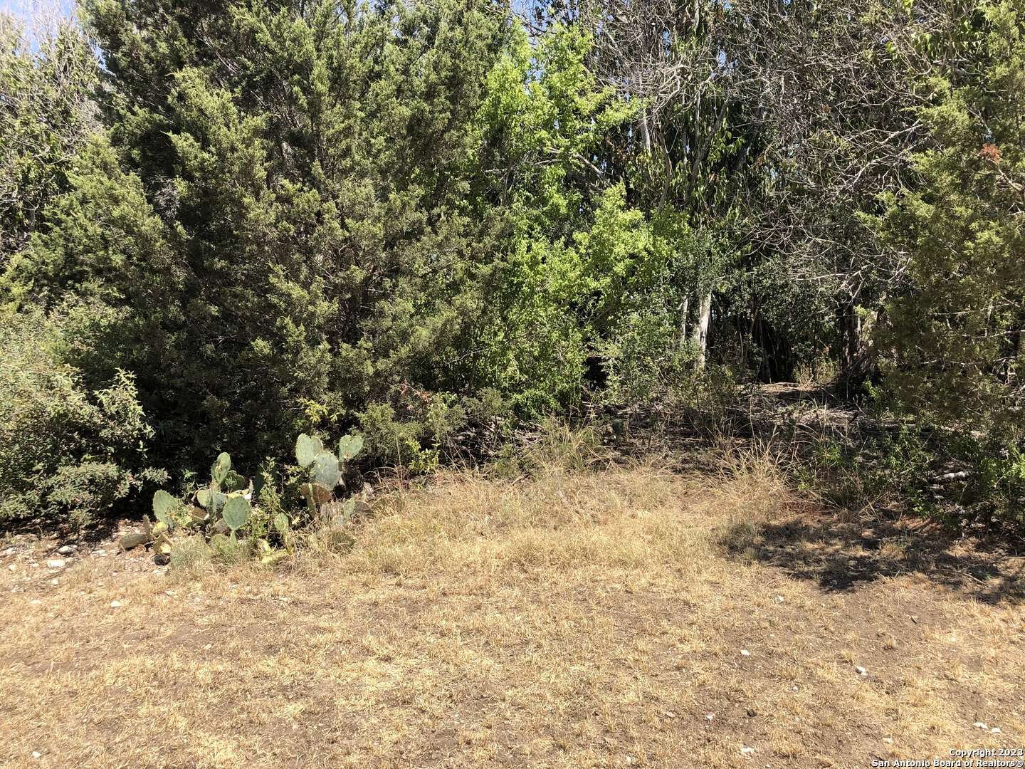 Selma, TX 78154,4200 BELL LN