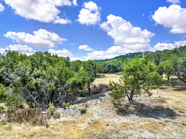 Bulverde, TX 78163,6530 CHEYENNE PASS