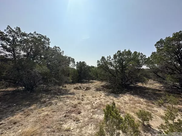 Canyon Lake, TX 78133,532 Sendera Valley Drive