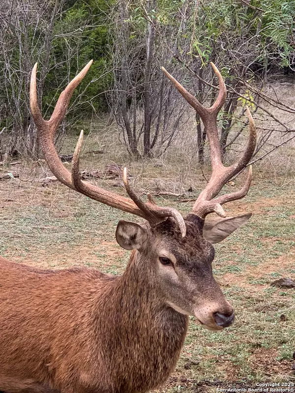 Lampasas, TX 76550,000 South Hwy 281