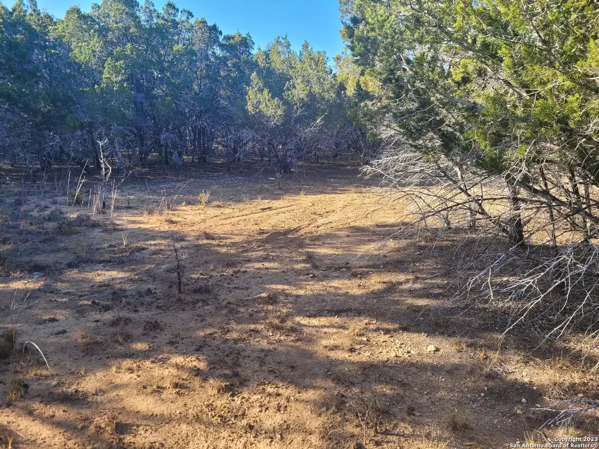 Center Point, TX 78010,LOT 2 MESA VERDE DR